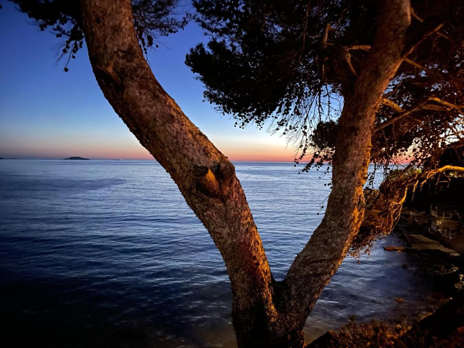 Vacances Bord De Mer - Appartement Sanary Sur Mer Εξωτερικό φωτογραφία